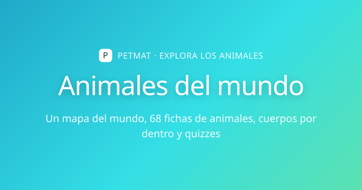 Dentro del Cuerpo: Cocodrilo del Nilo — Explorador para Niños | PetMat